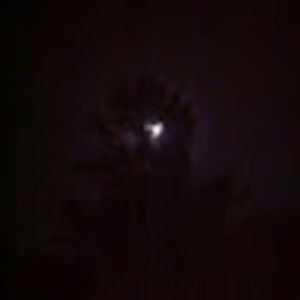 Meet your Posher, Rob